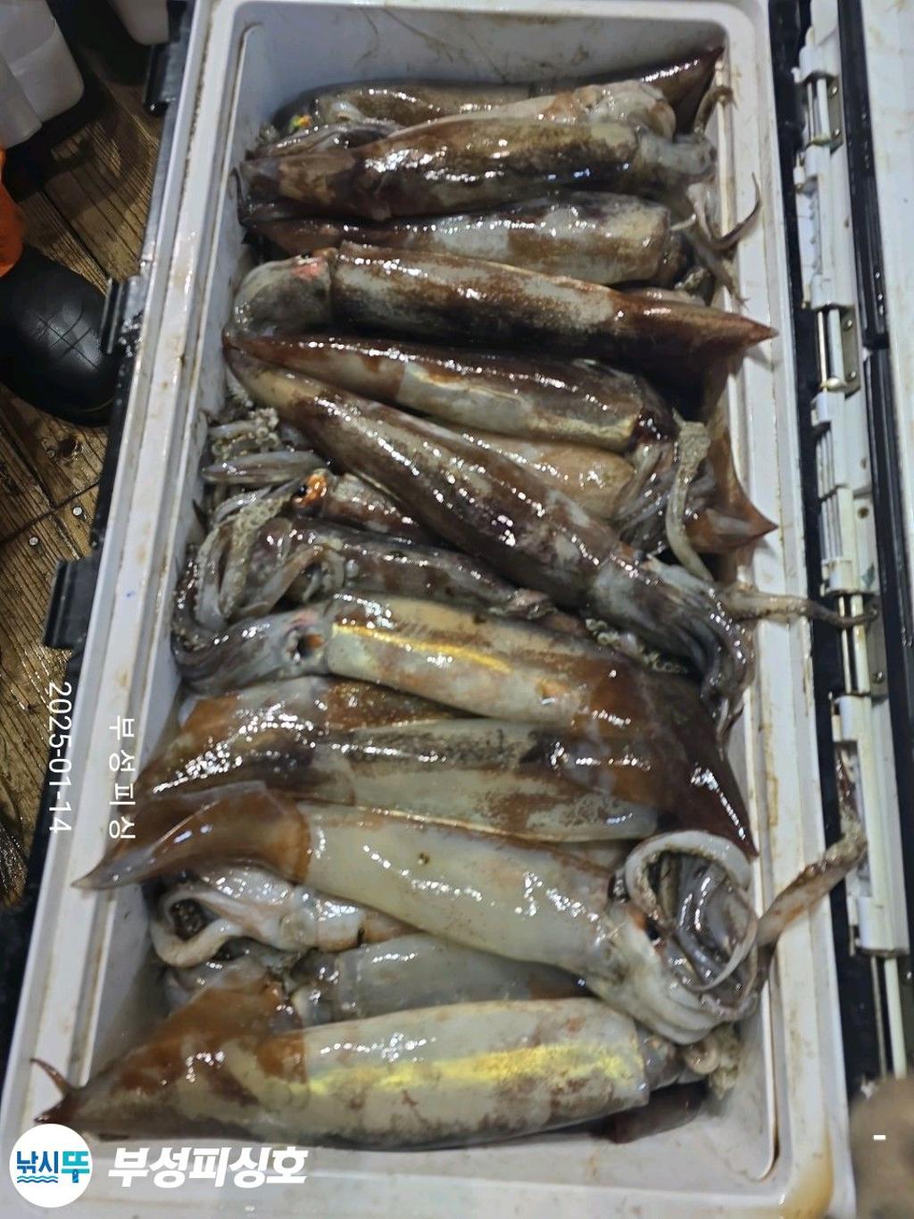 F2614223GM.jpg