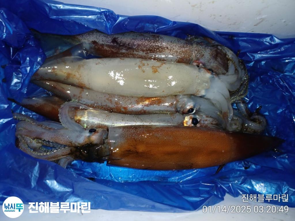 F2614519KU.jpg