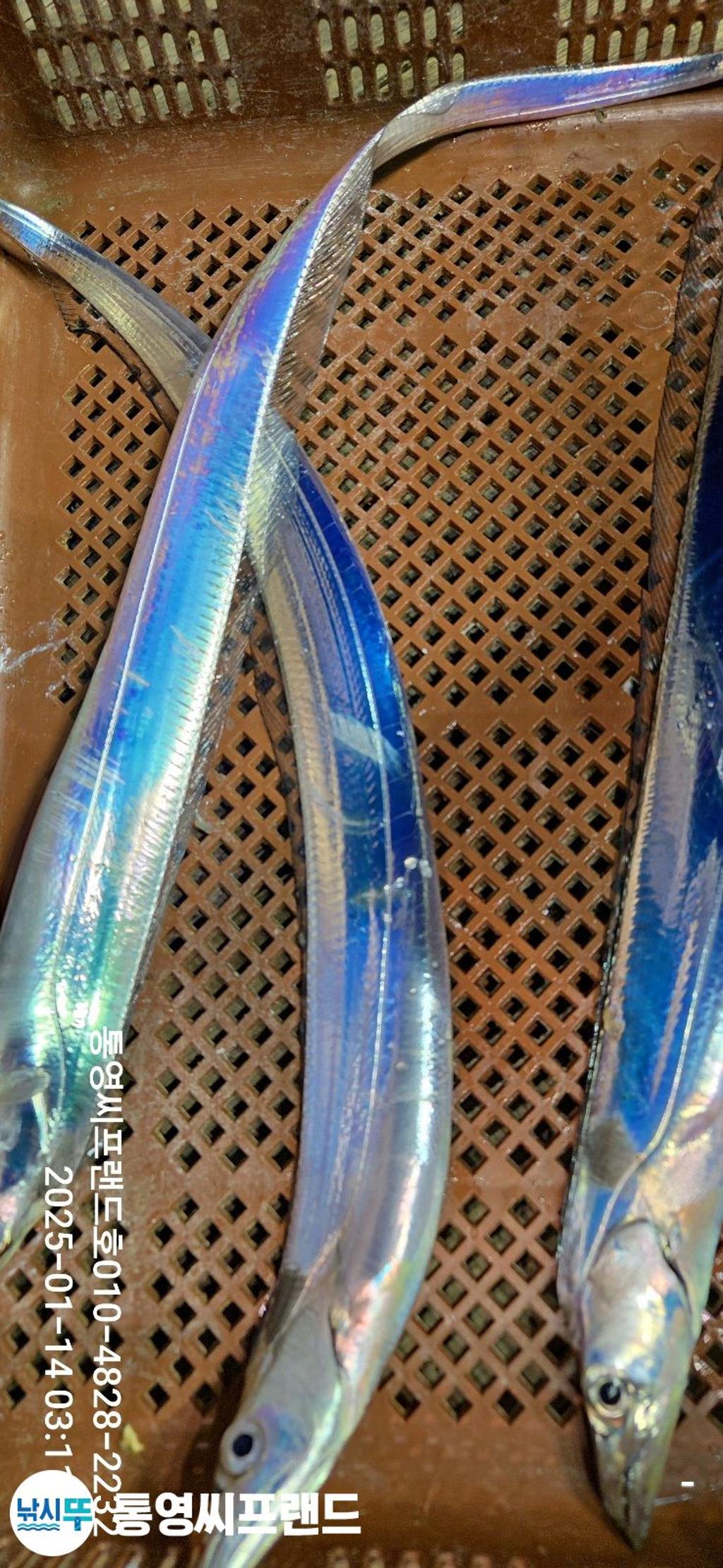F2615062DW.jpg