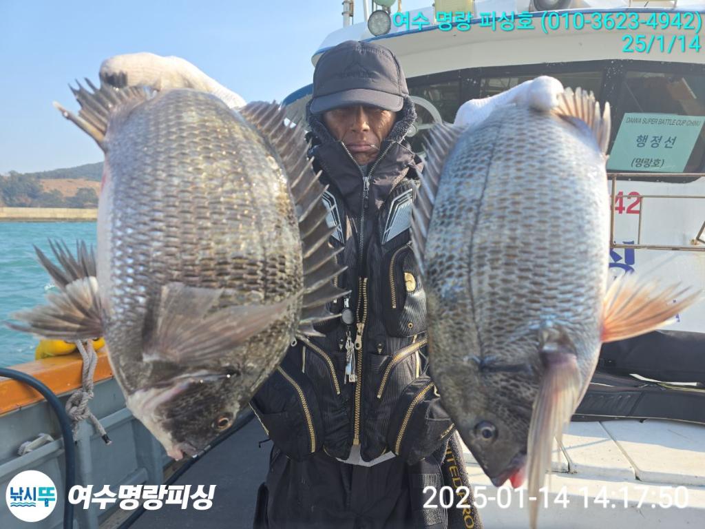 F2615077IT.jpg