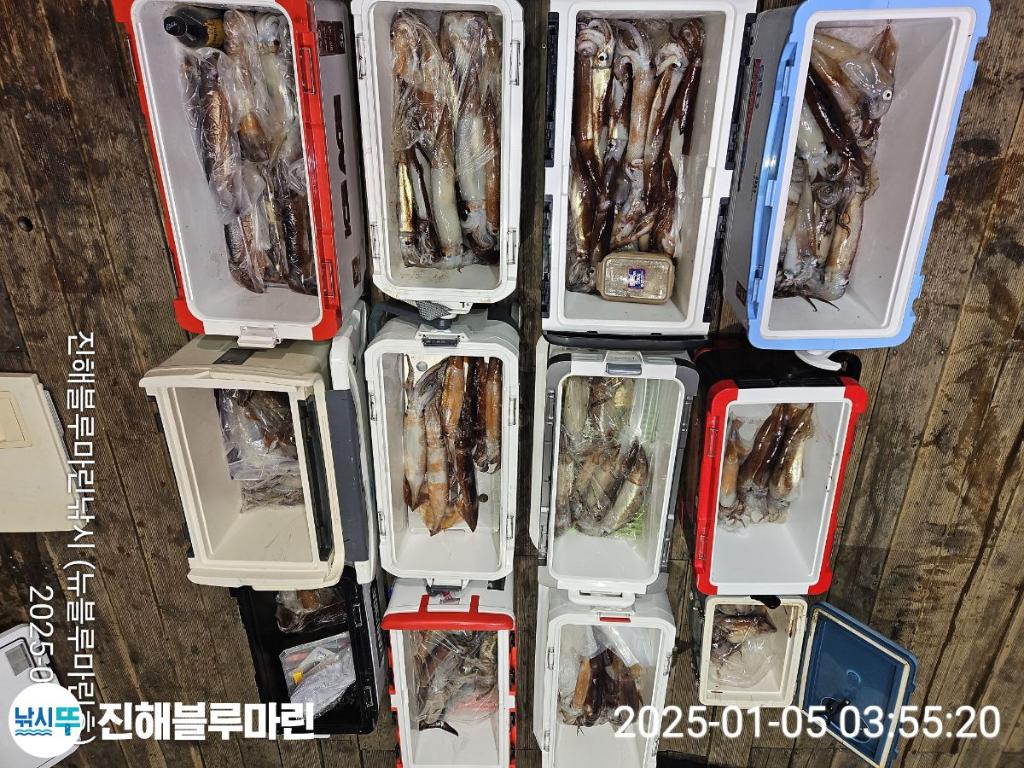 F2615135BI.jpg