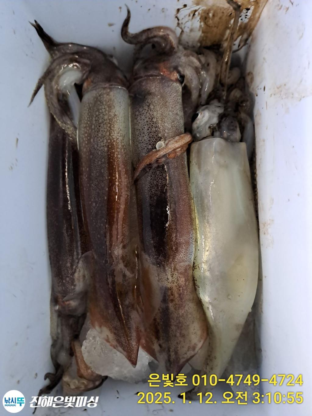 F2615161EA.jpg