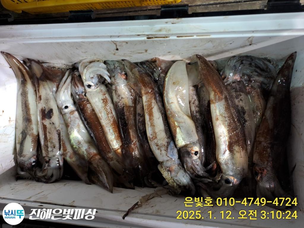 F2615165LU.jpg