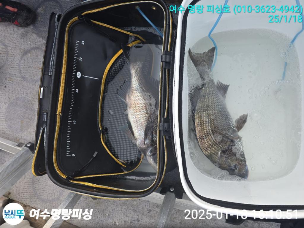F2616695UC.jpg