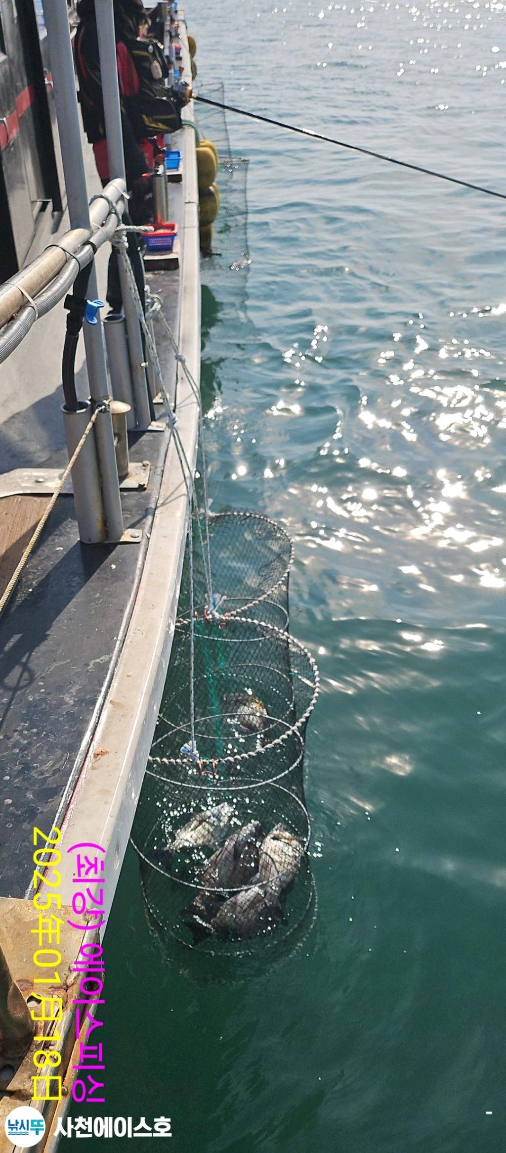 F2616701Z6.jpg