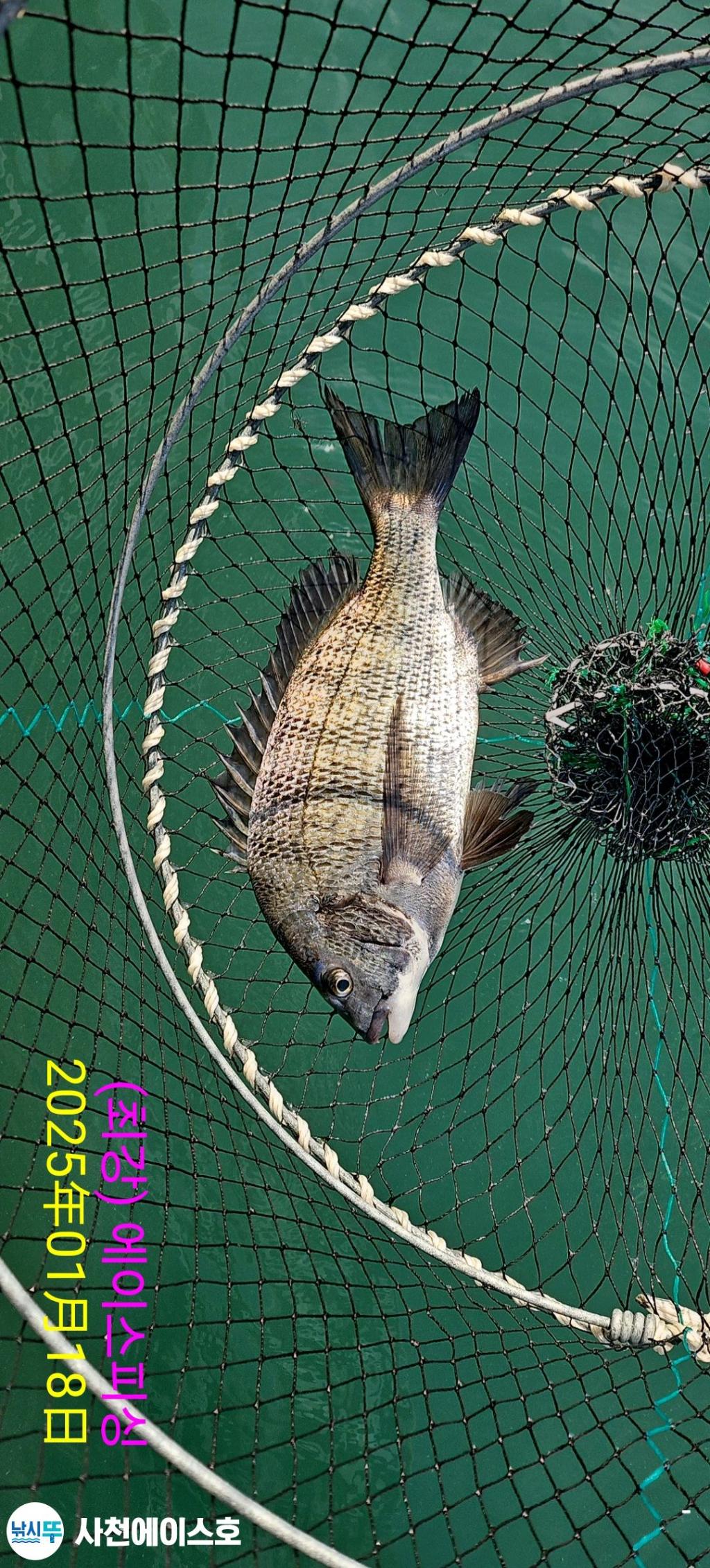 F2616704PT.jpg