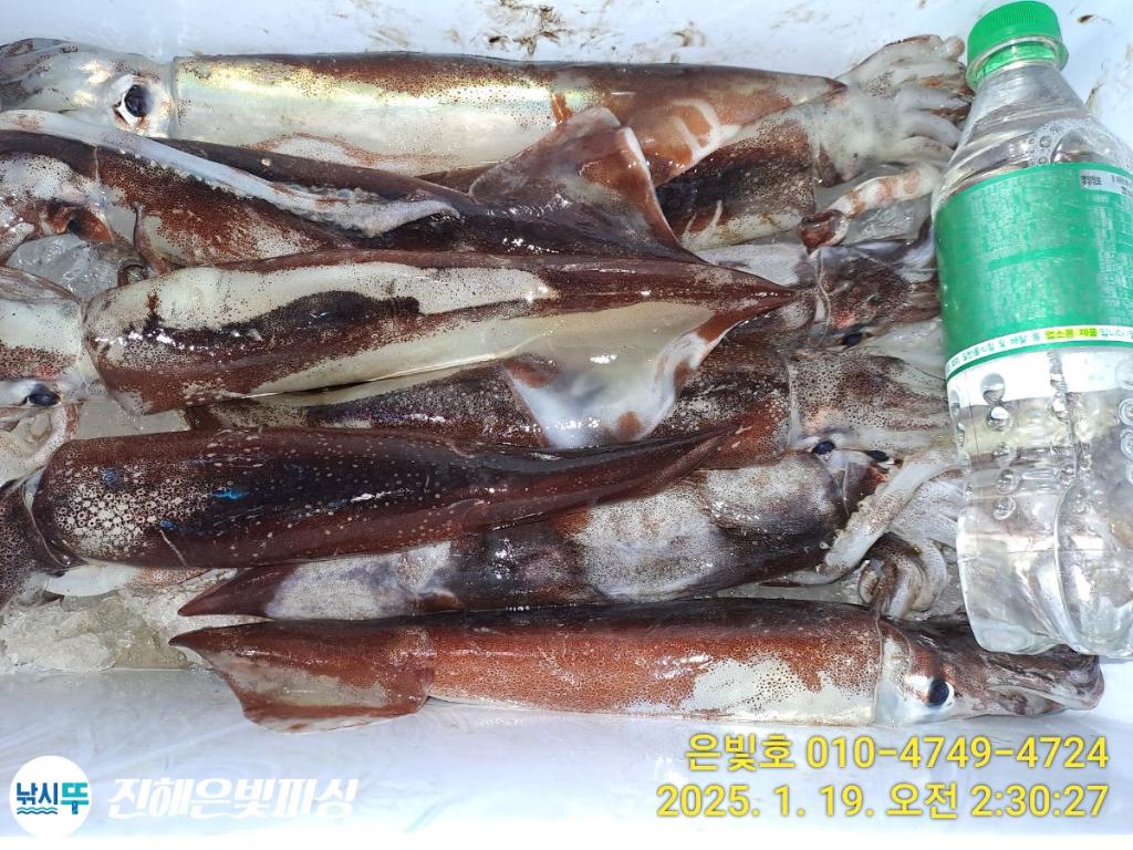 F261689560.jpg