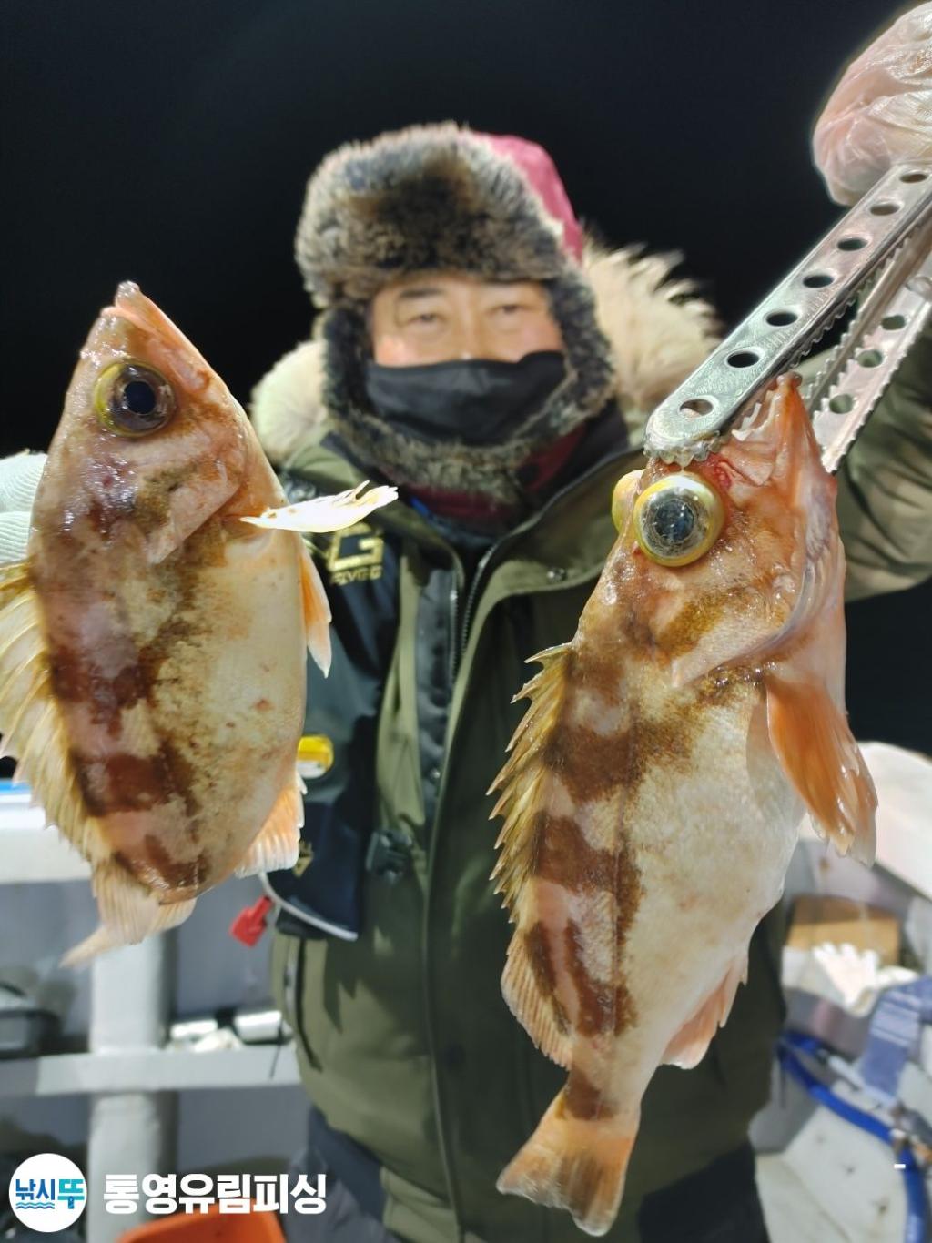 낚시뚜,볼락,열기,통영미수동방파제,통영유림피싱,낚시뚜2