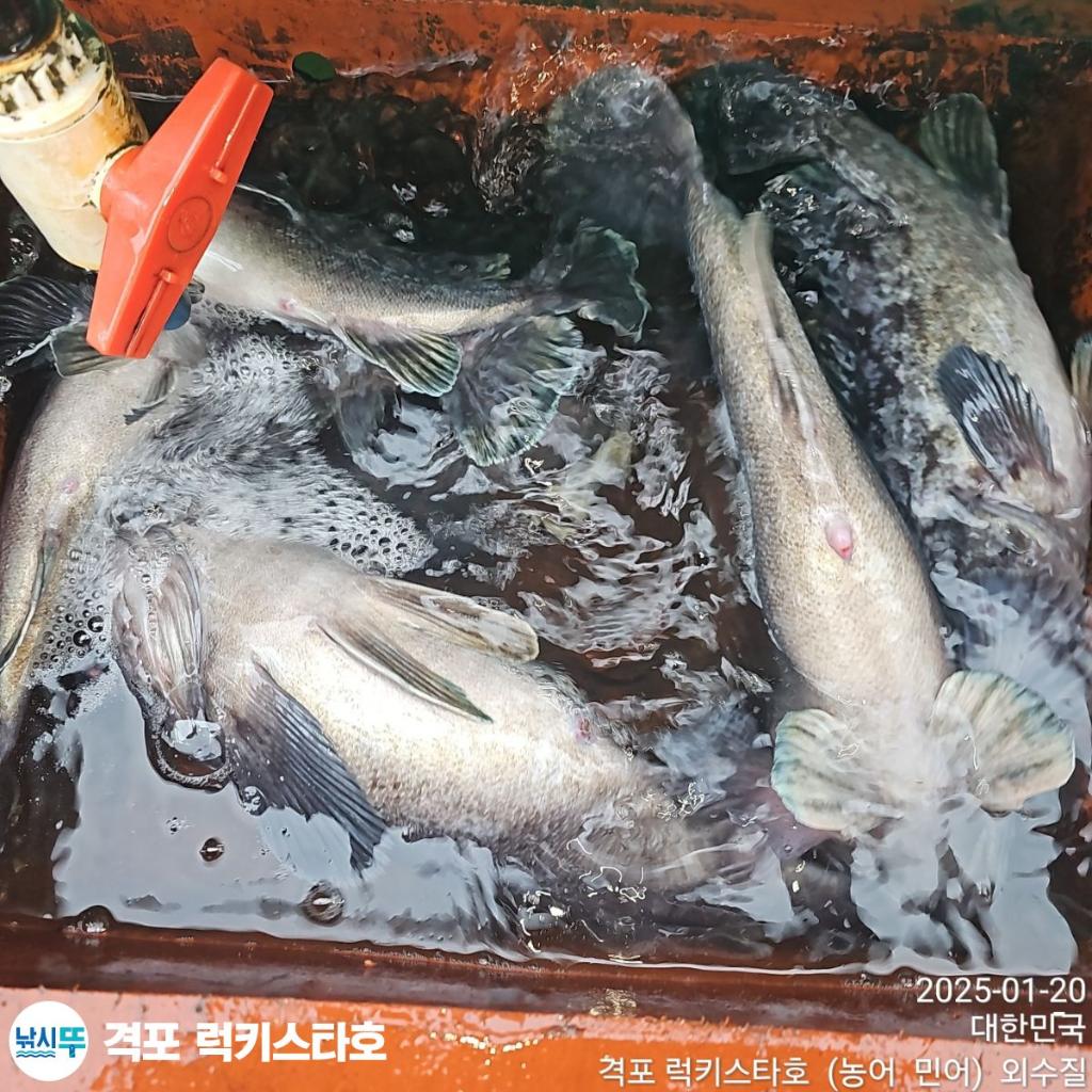 F2618188WQ.jpg