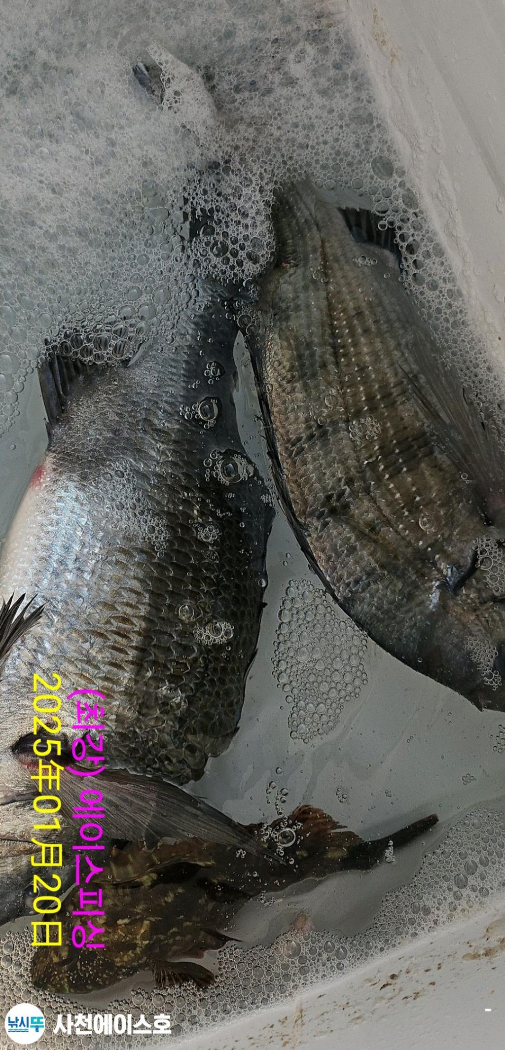 F261823414.jpg
