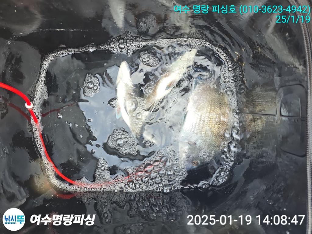 F261848625.jpg