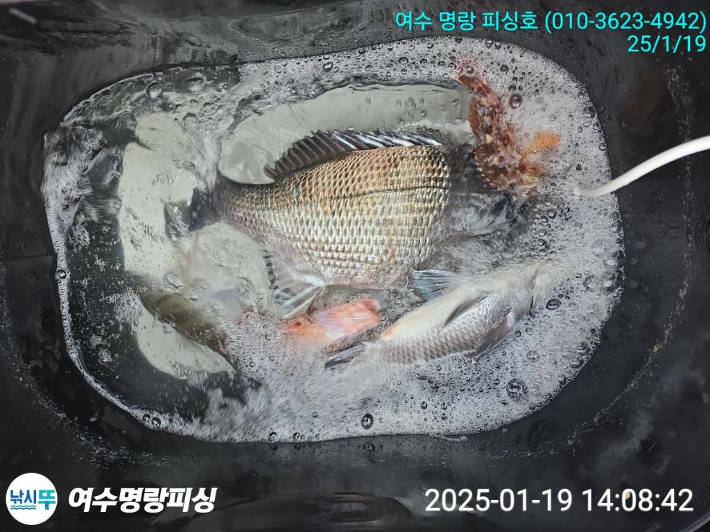 F26184878P.jpg