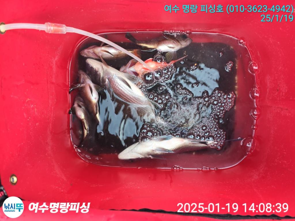 F2618488Z9.jpg