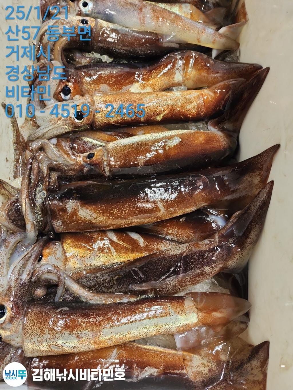 F26185461G.jpg
