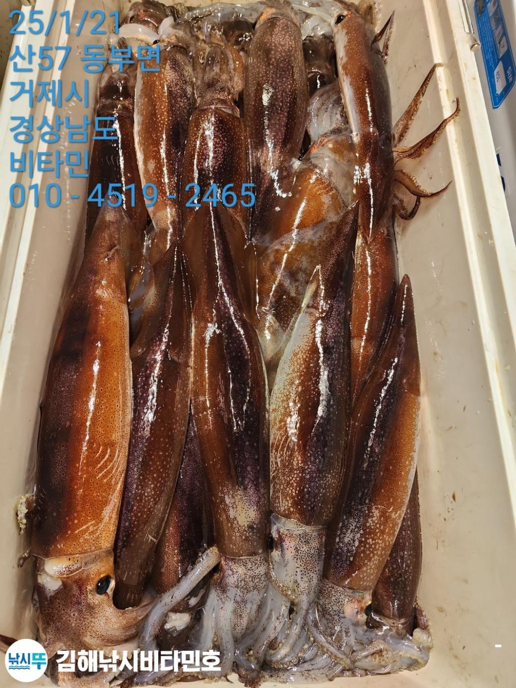 F26185475U.jpg