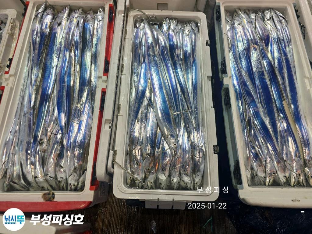 F2619039LP.jpg