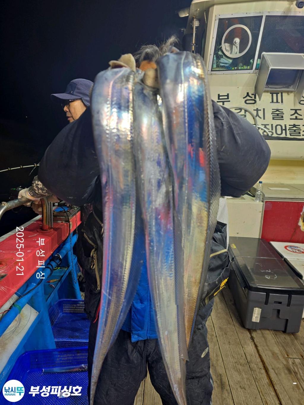F26190656X.jpg