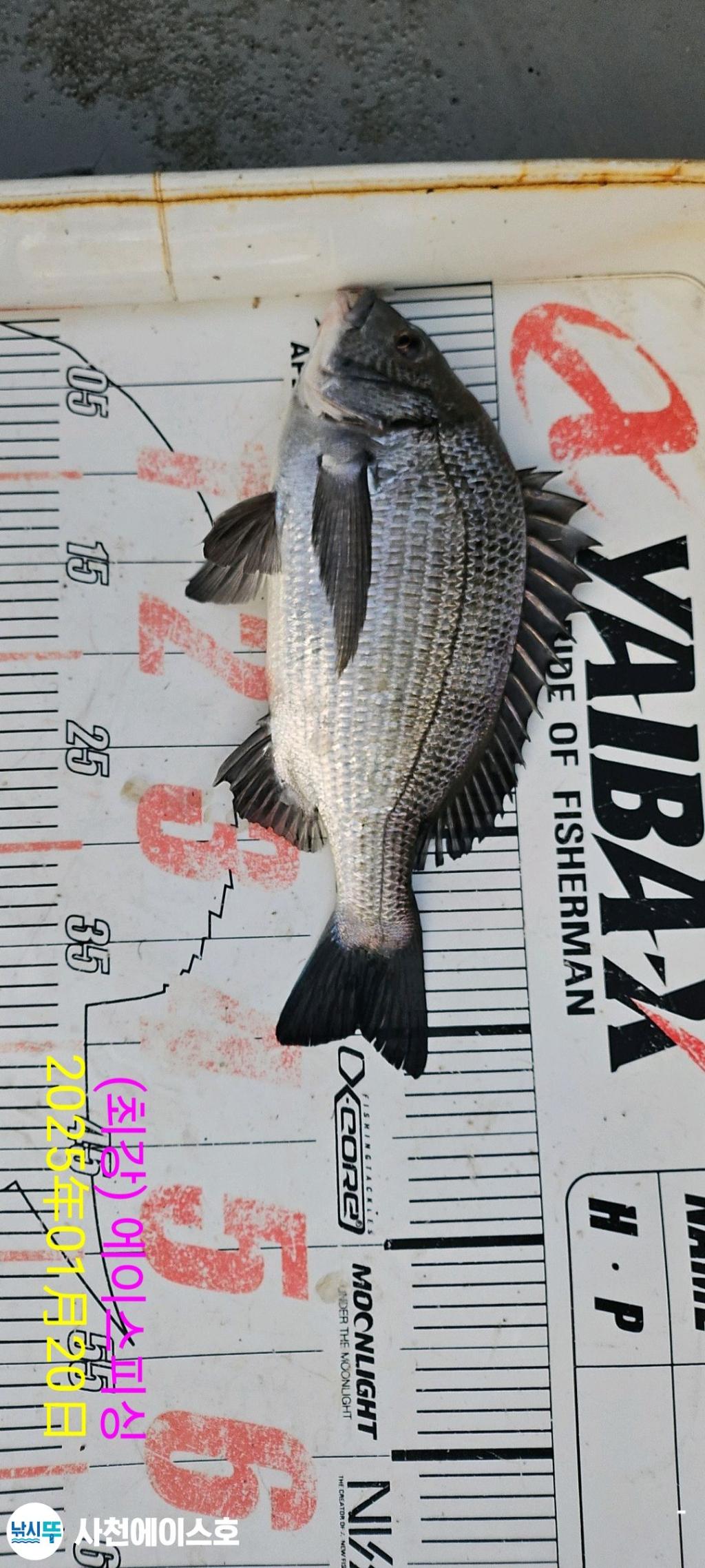 F261928357.jpg