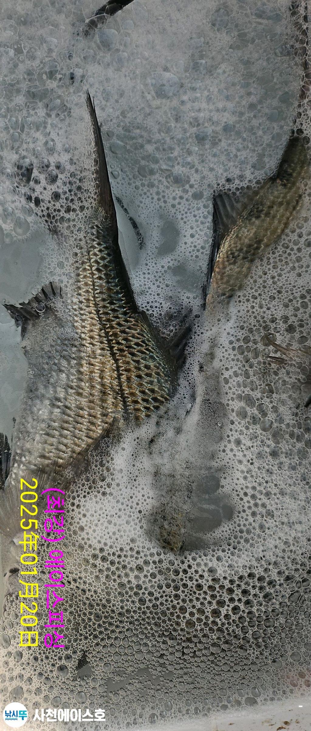 F26192847X.jpg