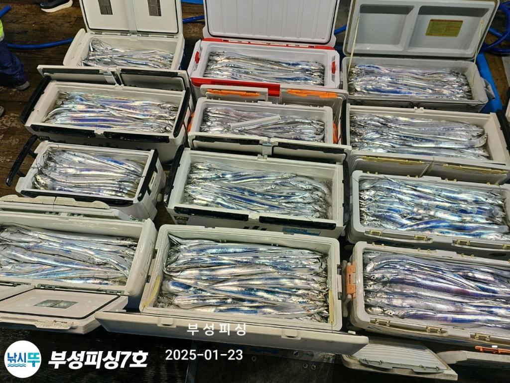 F2619862QC.jpg