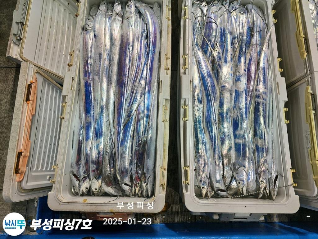 F2619870OY.jpg