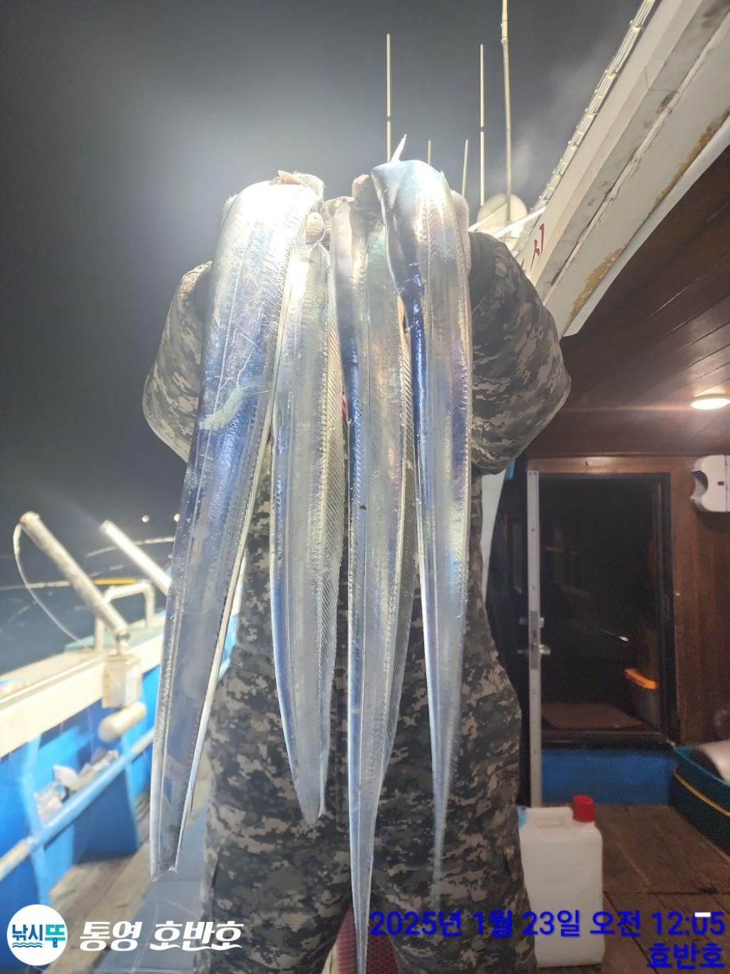 낚시뚜,갈치,오징어,통영 신전항,통영호반호,낚시뚜19