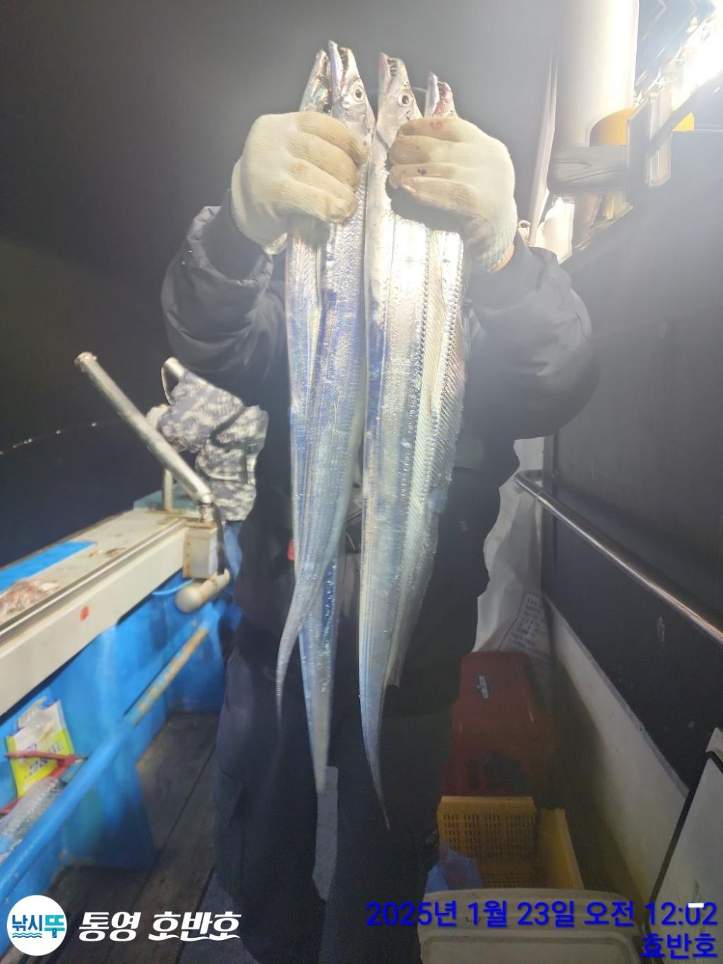 낚시뚜,갈치,오징어,통영 신전항,통영호반호,낚시뚜14