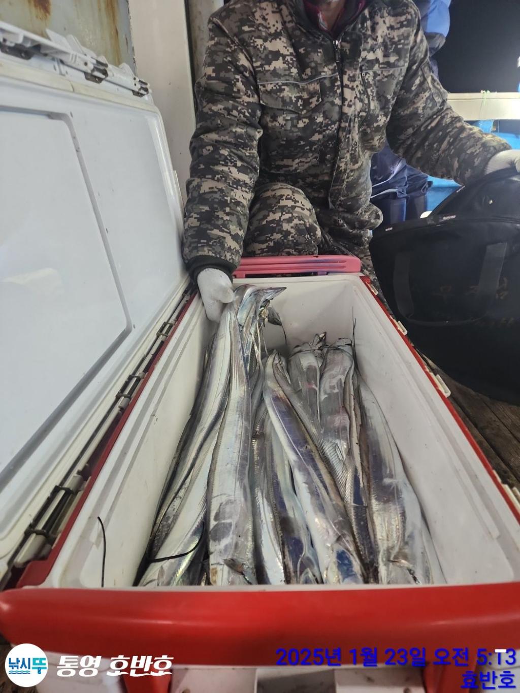 낚시뚜,갈치,오징어,통영 신전항,통영호반호,낚시뚜3