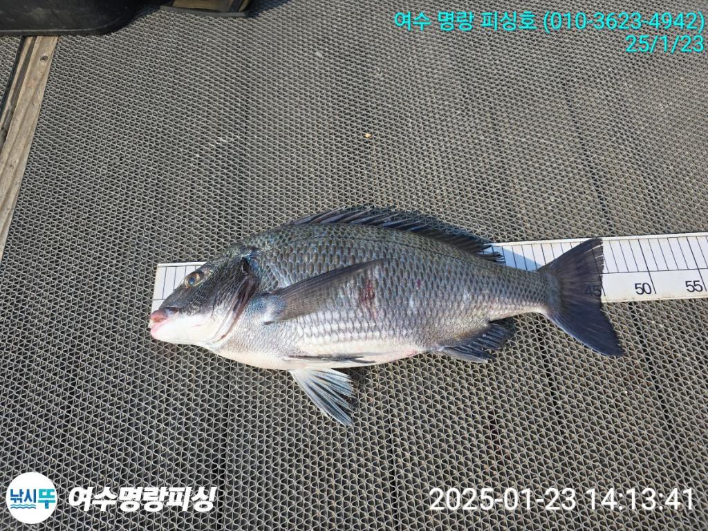 F26203523S.jpg