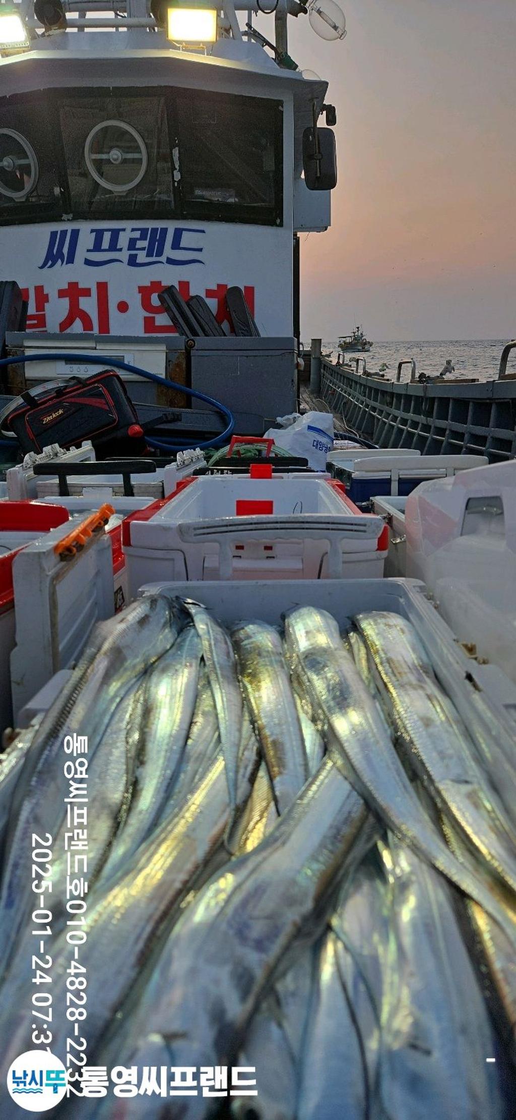 F26205934Q.jpg