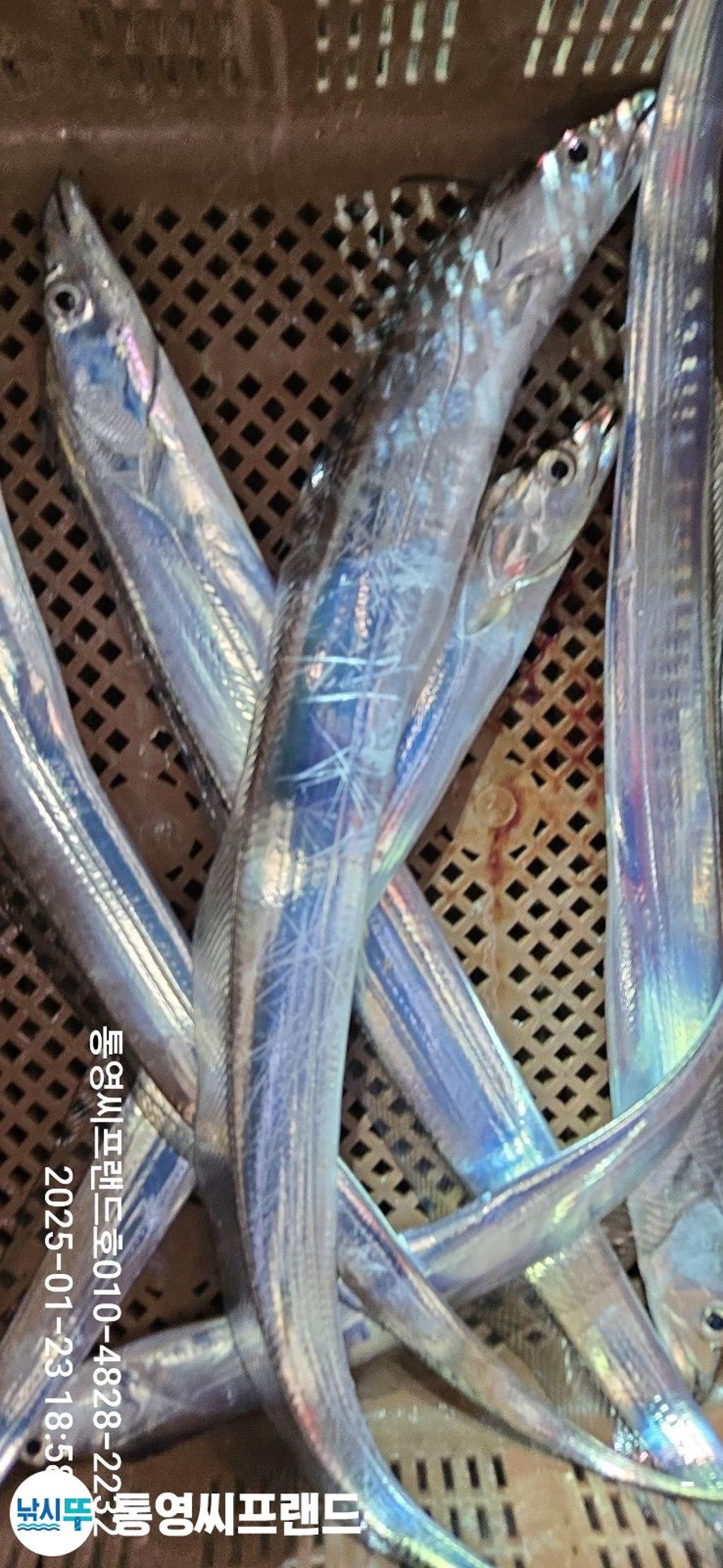 F2620597K6.jpg