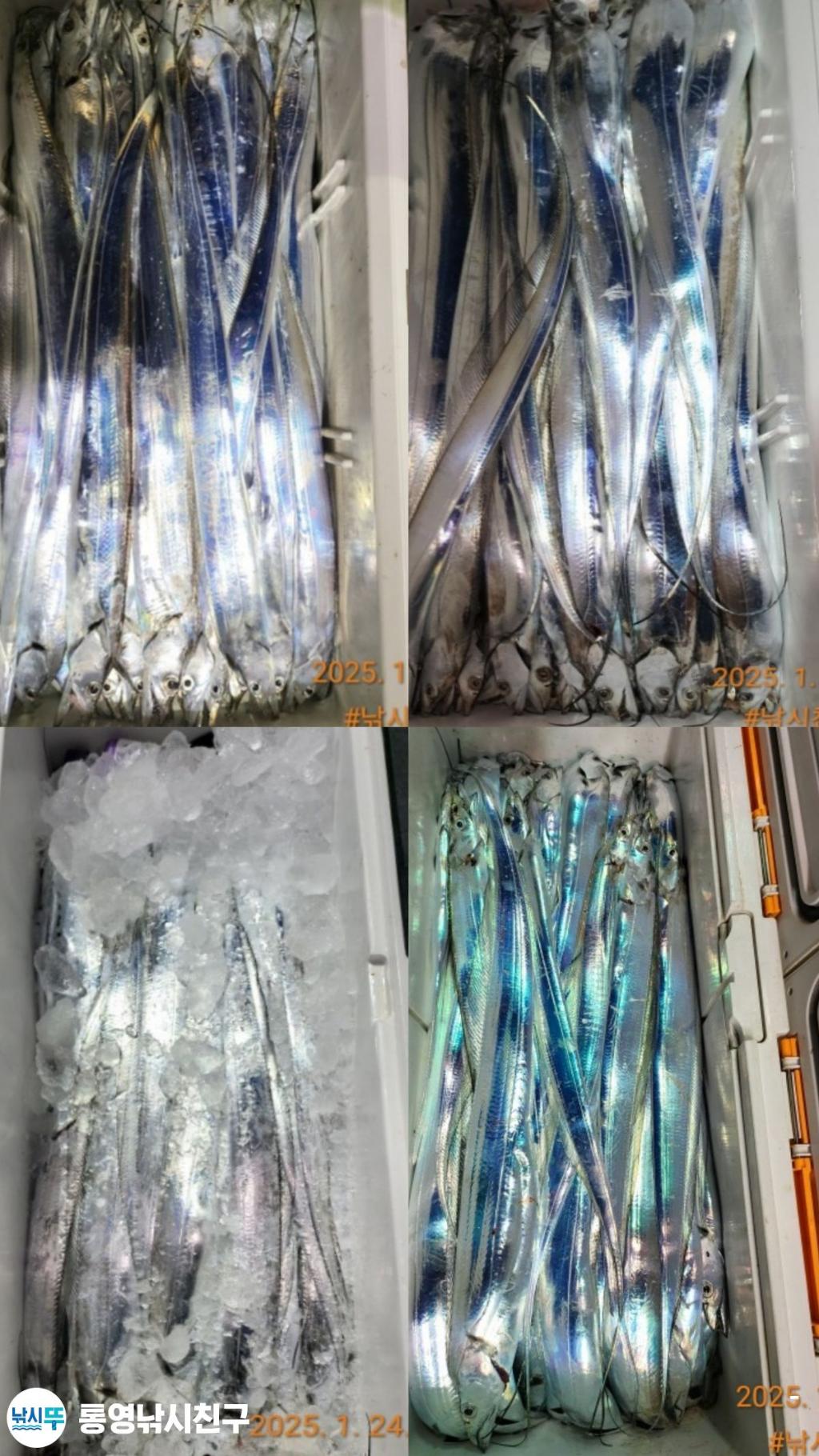 F26206294U.jpg