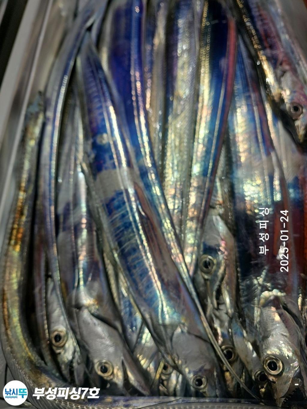 F2620735BY.jpg