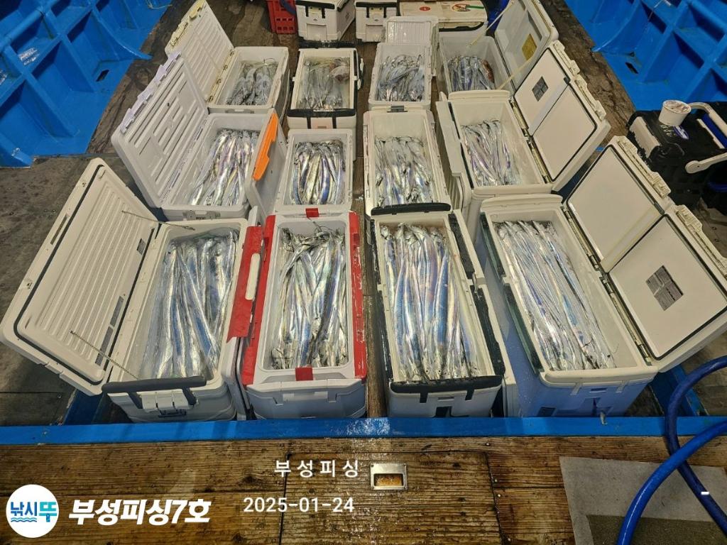 F26207380P.jpg