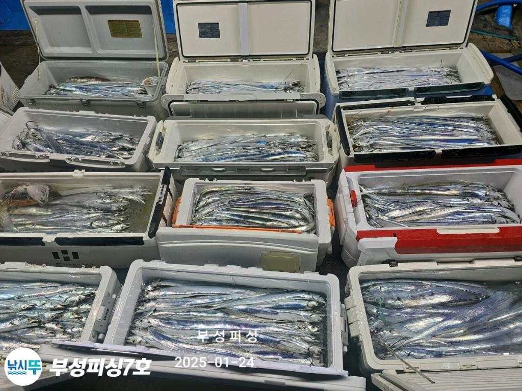 F2620739HQ.jpg