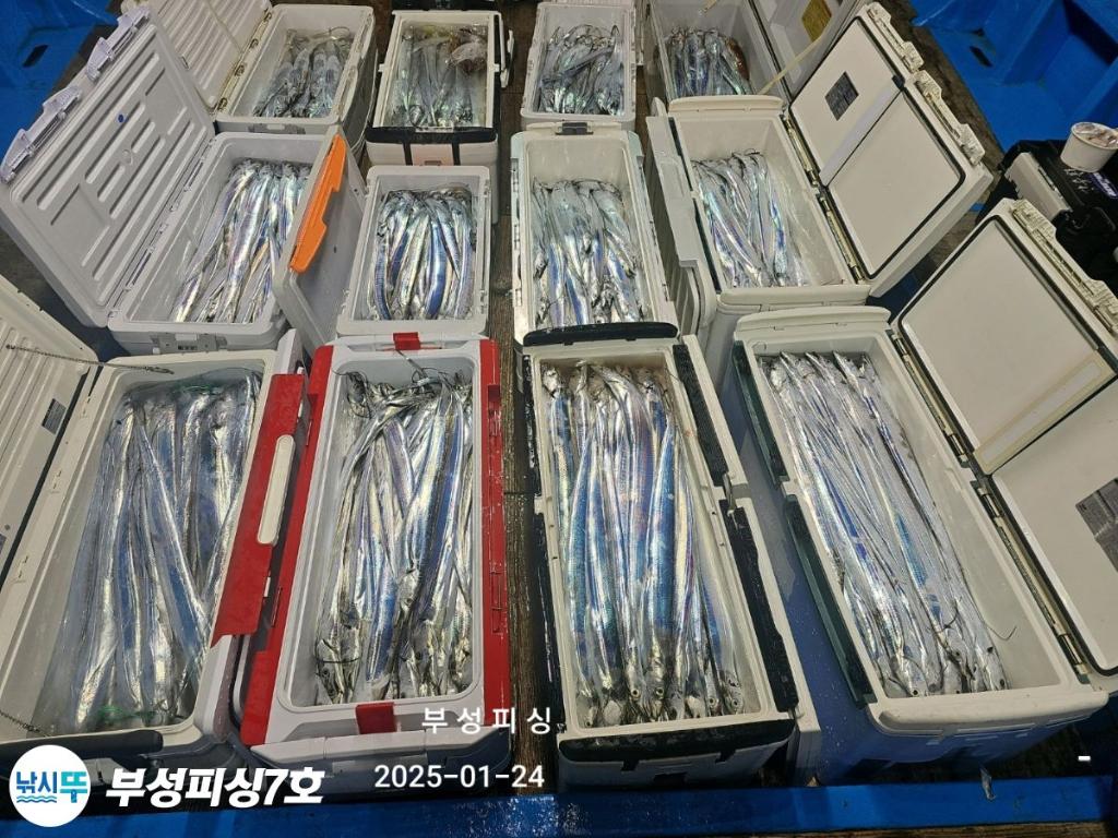 F2620740BA.jpg