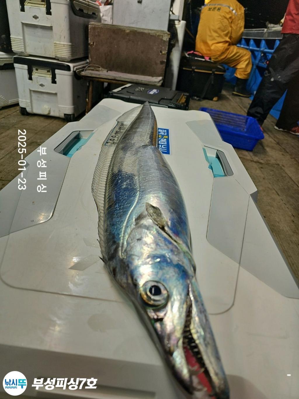 F2620750PD.jpg