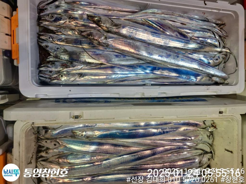 낚시뚜,갈치,통영연명항,통영창현호,낚시뚜12