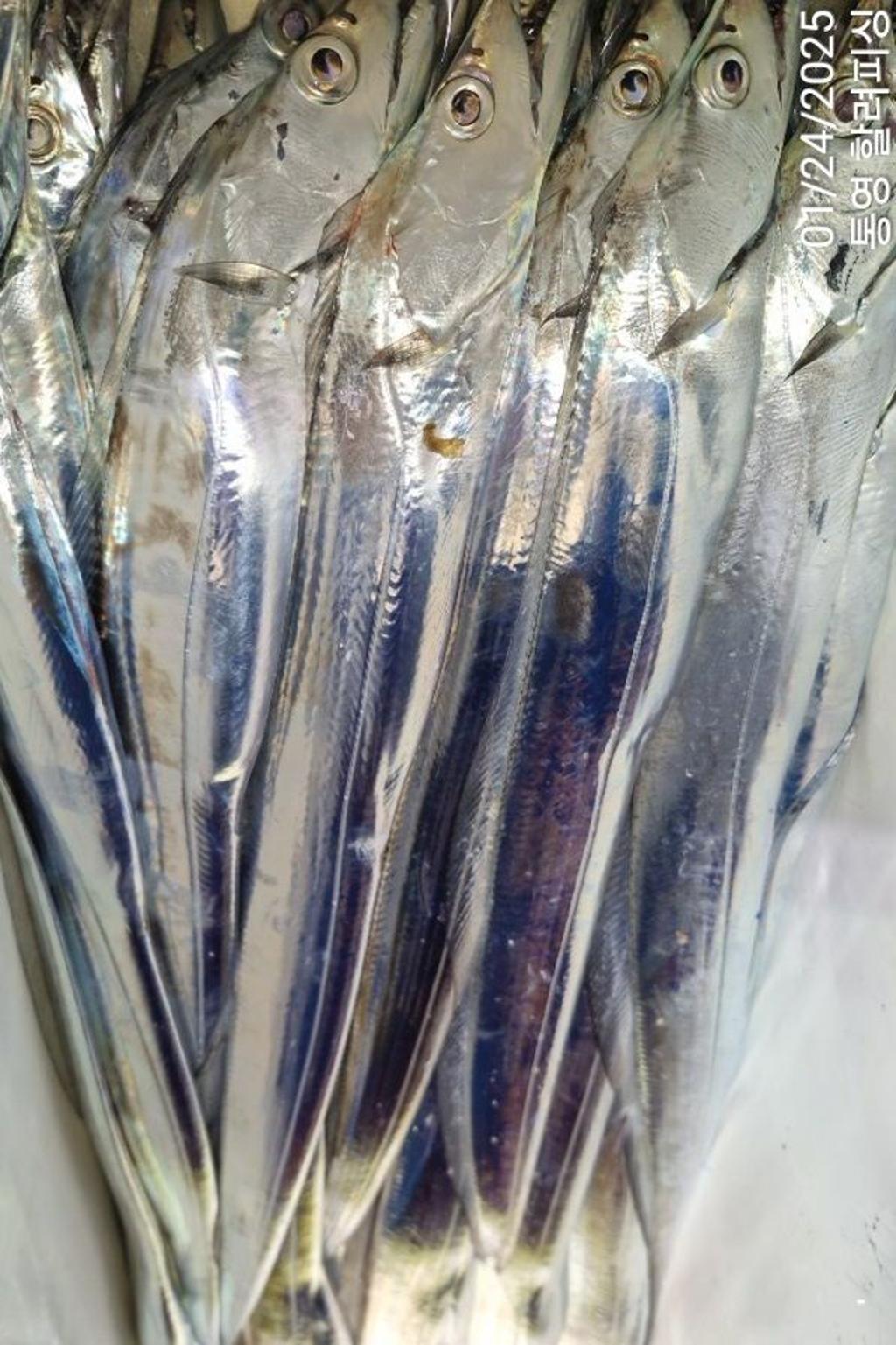 F26208409C.jpg