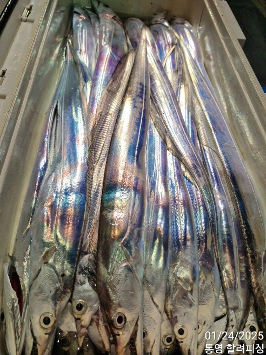 F2620843S7.jpg