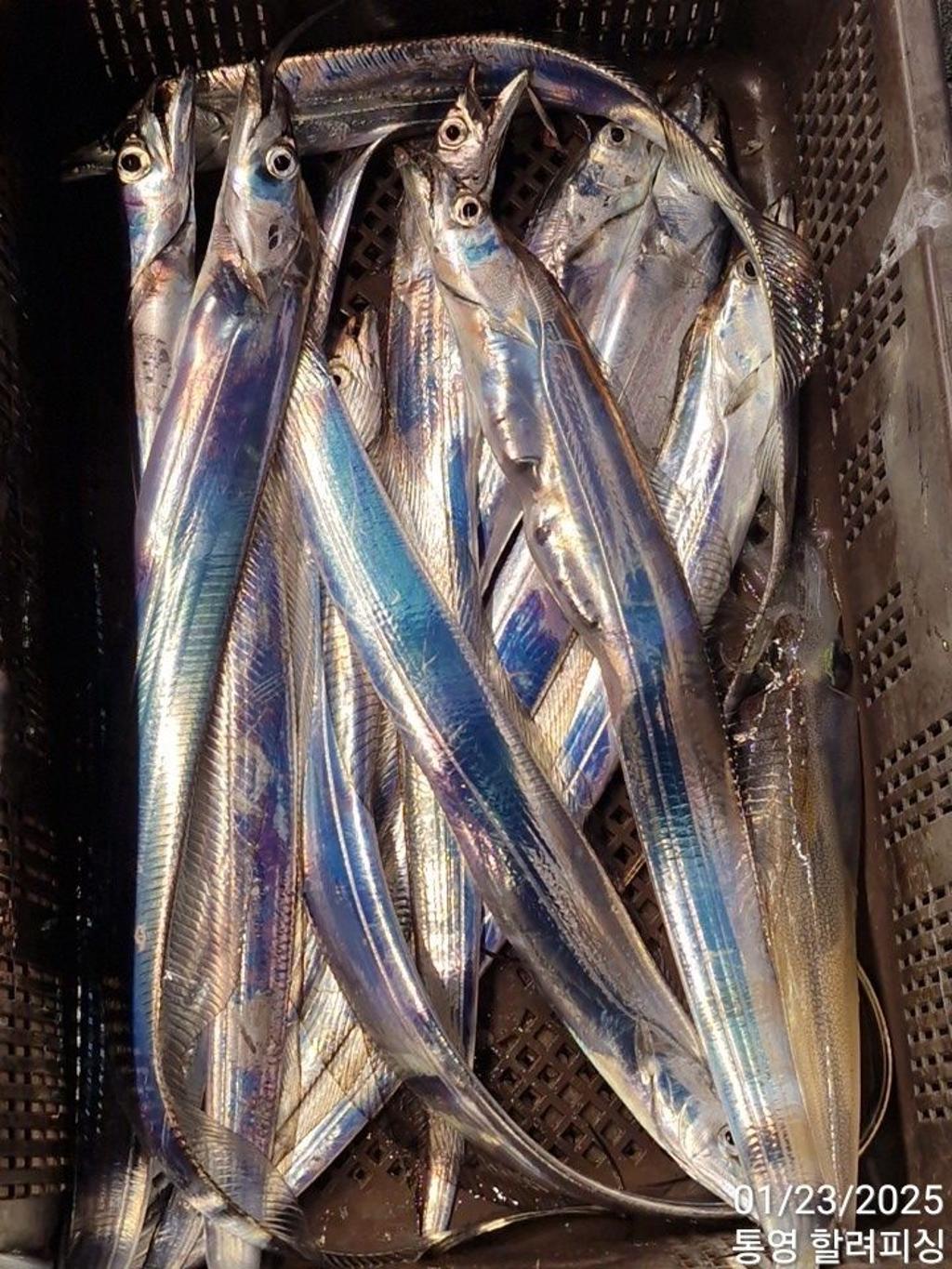 F26208498P.jpg