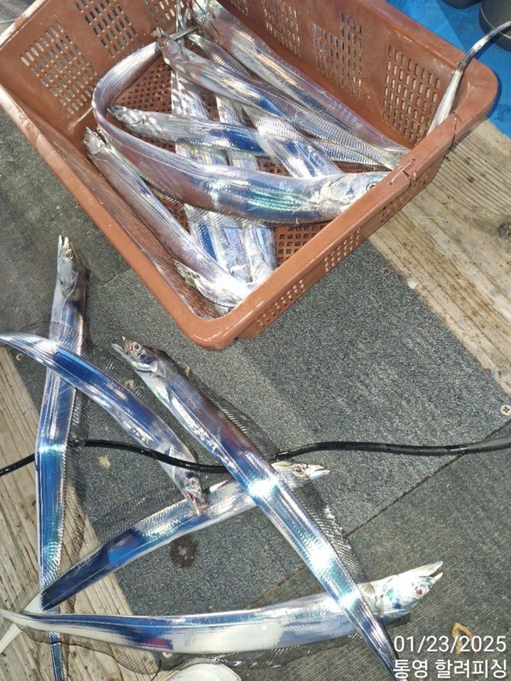 F2620850XM.jpg