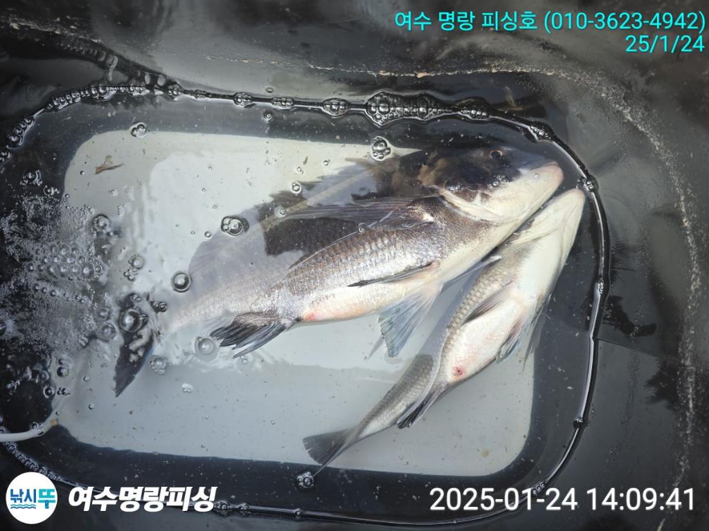 F2620881HT.jpg