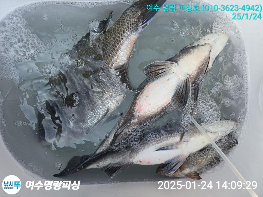 F2620882MH.jpg