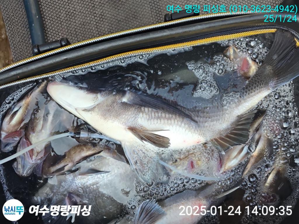 F26208830Q.jpg