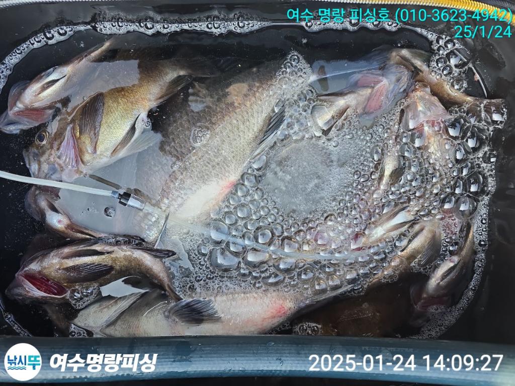 F2620884K2.jpg