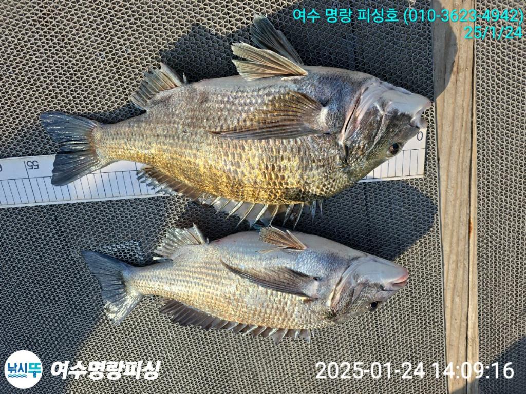 F2620885HD.jpg