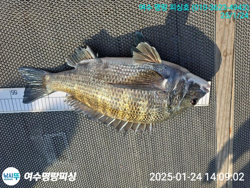 F2620886XA.jpg