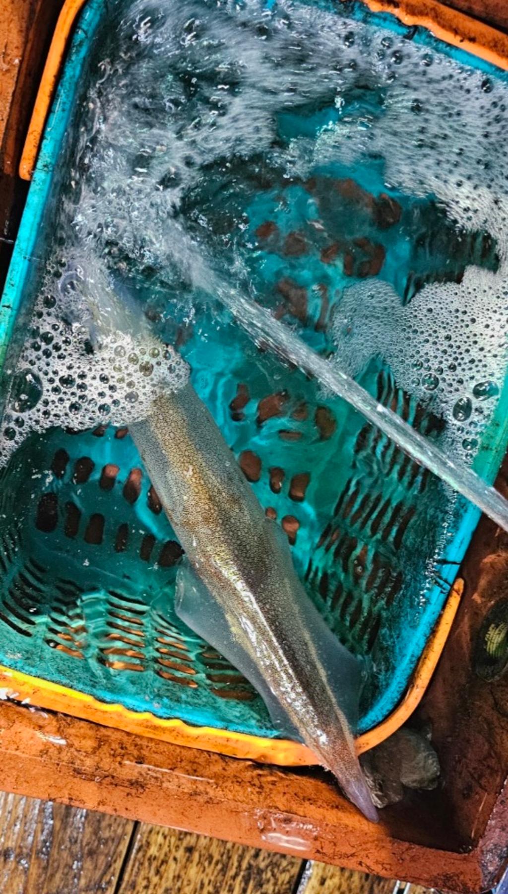 기타 (직접입력), 삼포대교낚시, 낚시뚜
