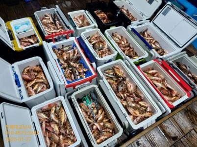 기타 (직접입력), 삼포대교낚시, 낚시뚜